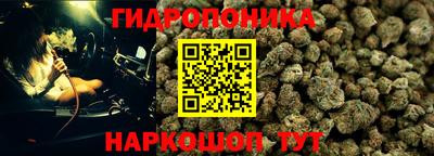 ГАЛЛЮЦИНОГЕННЫЕ ГРИБЫ Ирбит
