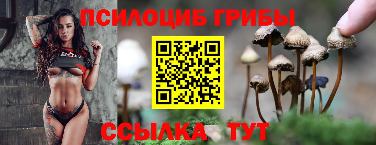 Кулебаки  купить наркотики цена  Вход с VPN  Галлюциногенные грибы Psilocybine cubensis 